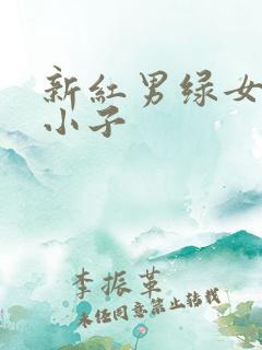 新红男绿女之坏小子