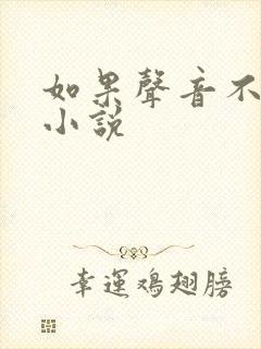 如果声音不记得小说