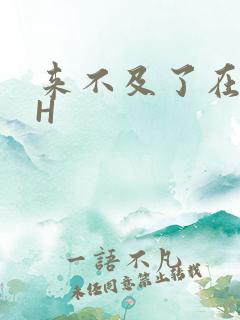 来不及了在车CH