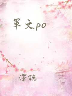 军文po