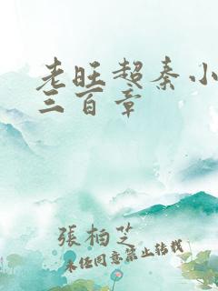 老旺超秦小雨第三百章