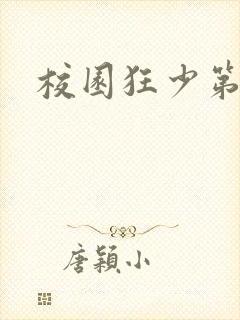 校园狂少第二部