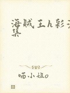 海贼王h彩漫画集