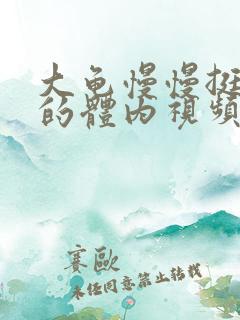 大龟慢慢挺进我的体内视频