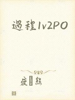 过程1v2PO