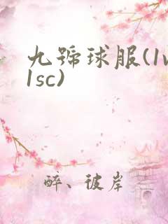 九号球服(1v1sc)