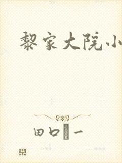 黎家大院小说