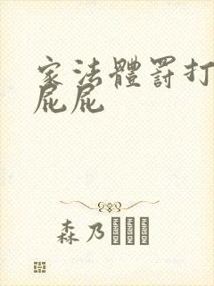 家法体罚打丫鬟屁屁