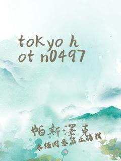tokyo hot n0497