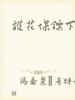 护花保镖下载