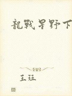 龙战星野下载