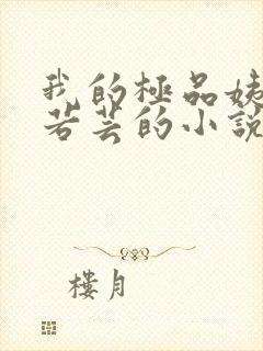 我的极品姨妈柳若芸的小说在线