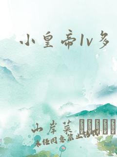 小皇帝1v多