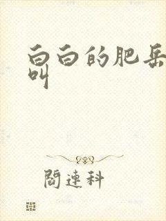 白白的肥岳嗷嗷叫