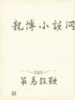 龙博小说网