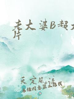 老大婆B超大图片