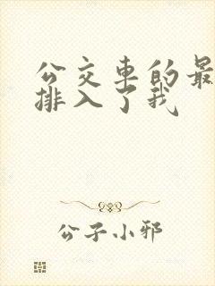 公交车的最后一排入了我