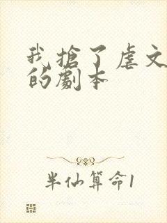 我抢了虐文男主的剧本