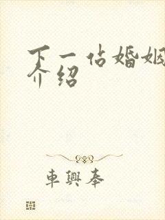 下一站婚姻剧情介绍