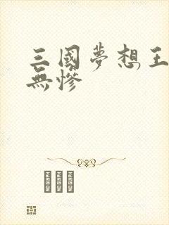 三国梦想王元姬无惨