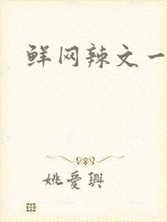 鲜网辣文一对一