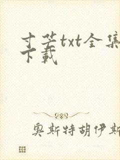 寸芒txt全集下载