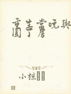 重生当晚与军夫圆了房