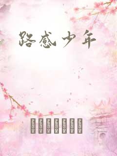 路感少年