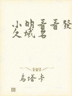 小明看看发布永久域名