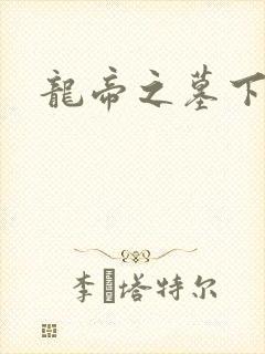 龙帝之墓下载