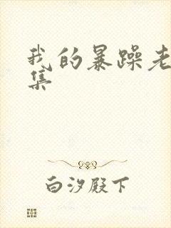 我的暴躁老妈全集