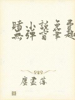 赌小说免费阅读无弹窗笔趣阁