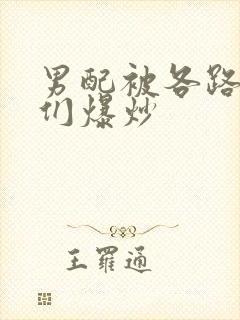 男配被各路大佬们爆炒