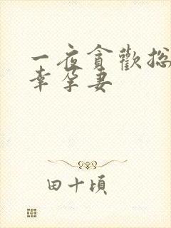 一夜贪欢总裁的幸孕妻