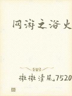 网游之浴火