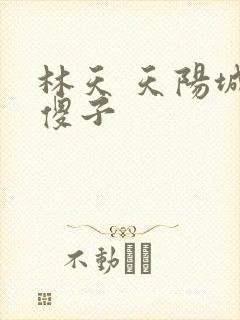 林天 天阳城 傻子