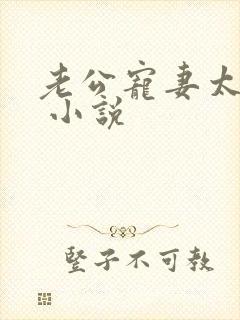 老公宠妻太甜蜜 小说