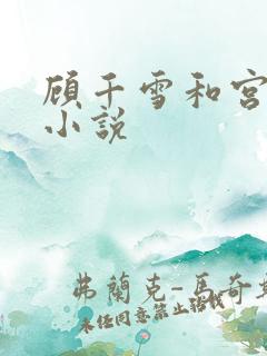 顾千雪和宫凌沨小说