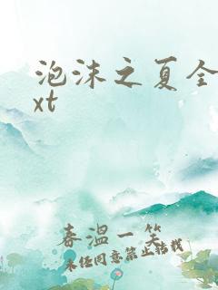 泡沫之夏全集txt