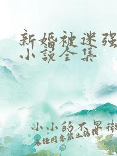 新婚被迷强系列小说全集