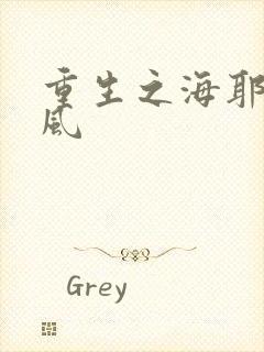 重生之海耶斯旋风