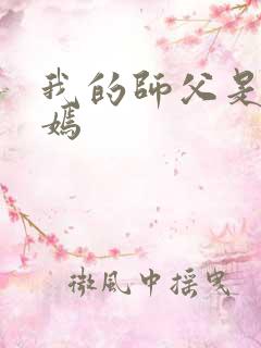 我的师父是王语嫣