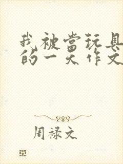 我被当玩具发泄的一天作文