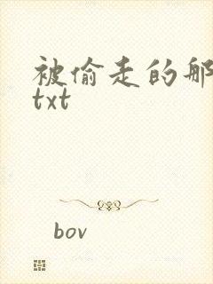 被偷走的那五年txt