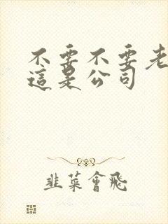 不要不要老板别这是公司