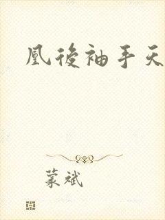 凰后袖手天下