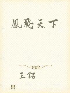 凤飞天下