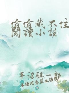 偷偷藏不住免费阅读小说