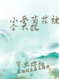 小受菊花被双龙合不拢