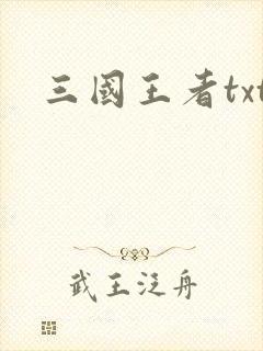 三国王者txt